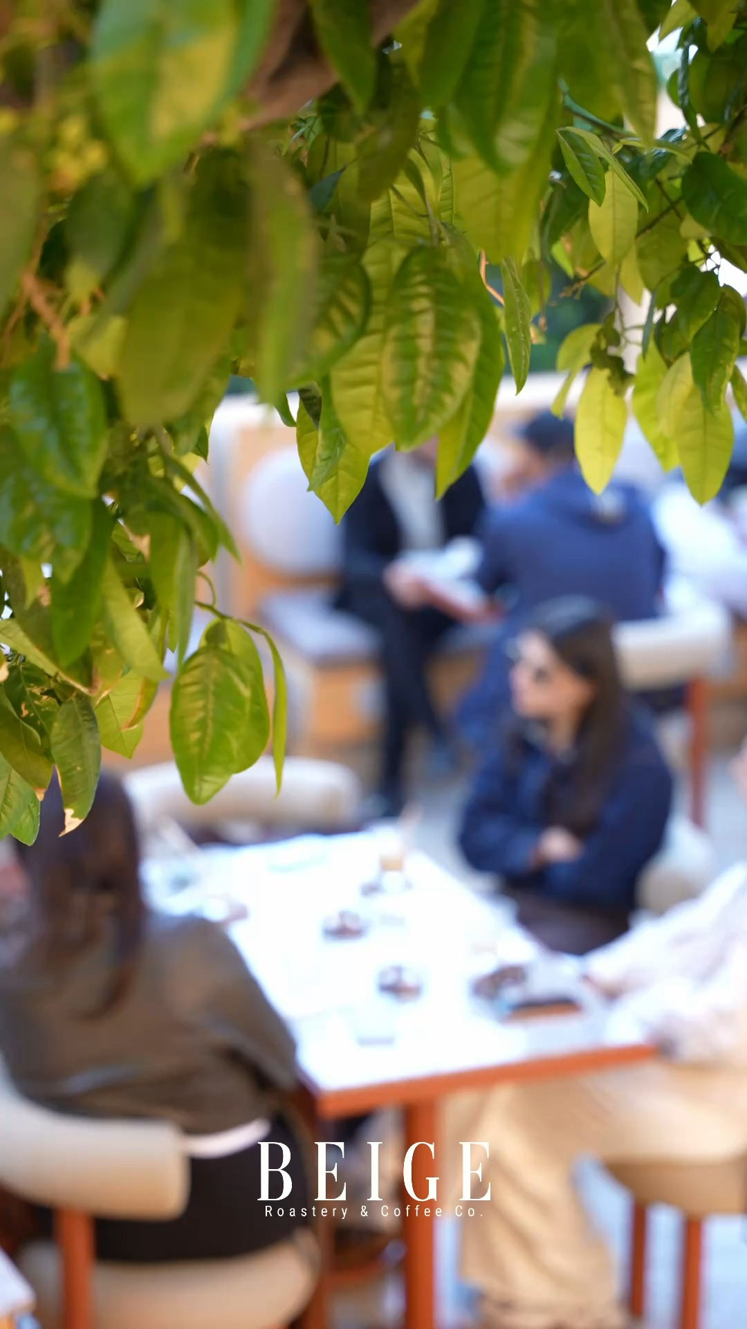 Avluda düzenlenen vintage market etkinliğinden bir kare